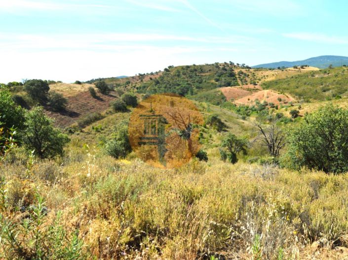 Image No.11-Plot for sale