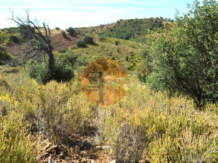 Image No.12-Plot for sale