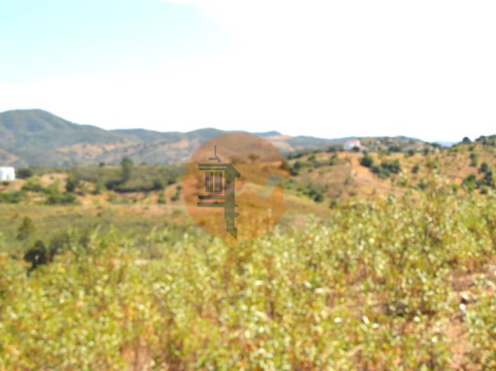 Image No.20-Plot for sale