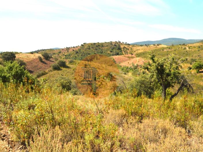 Image No.4-Plot for sale