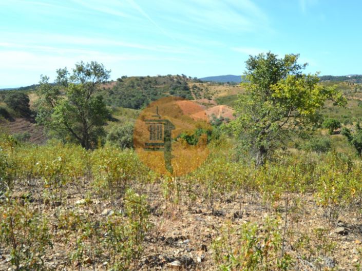 Image No.5-Plot for sale