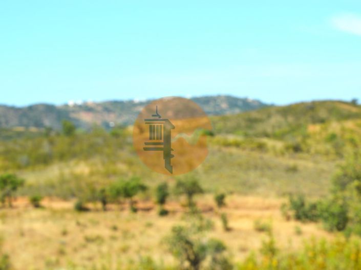 Image No.6-Plot for sale