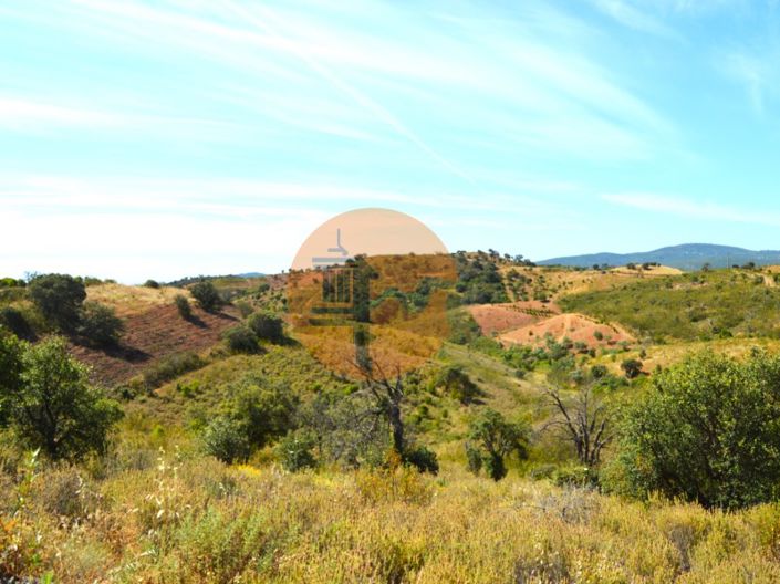 Image No.9-Plot for sale