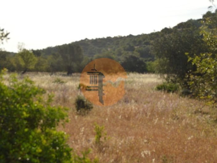 Image No.2-Plot for sale