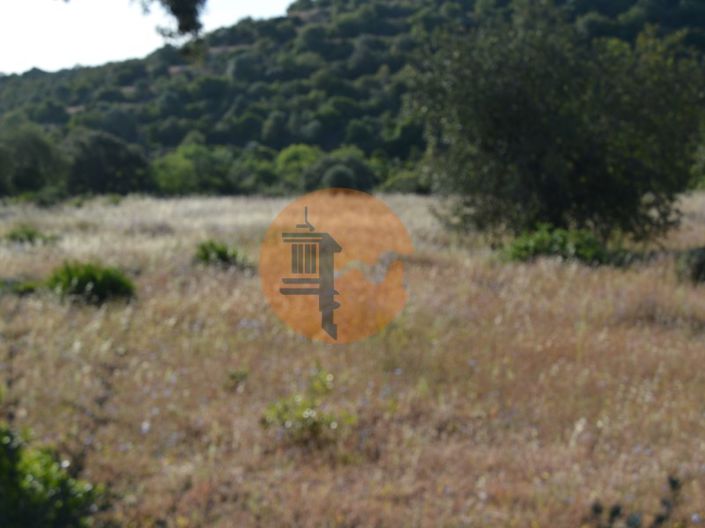 Image No.3-Plot for sale