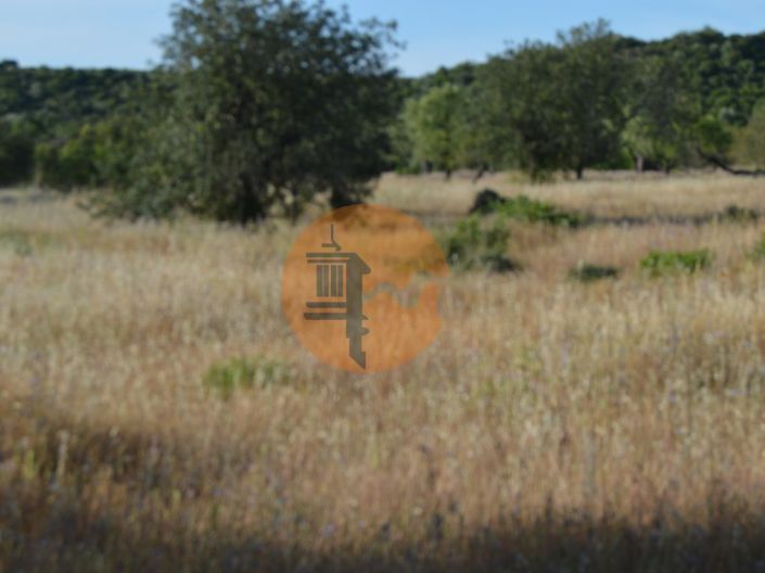 Image No.4-Plot for sale