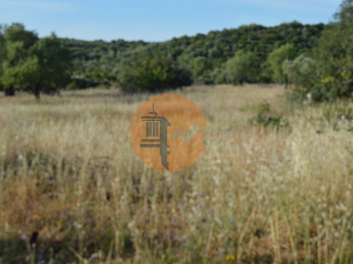 Image No.7-Plot for sale