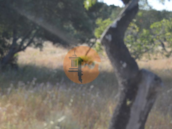 Image No.9-Plot for sale