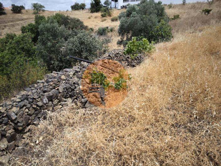 Image No.23-3 Bed House for sale