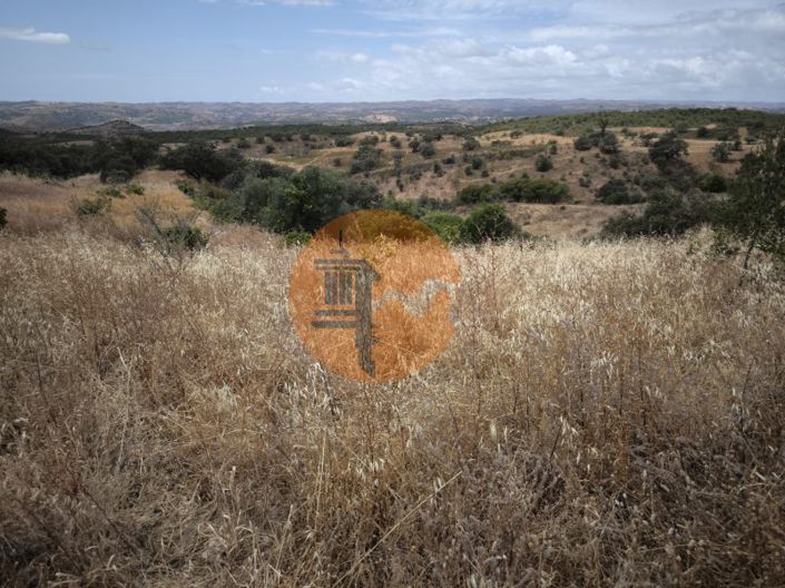 Image No.34-3 Bed House for sale