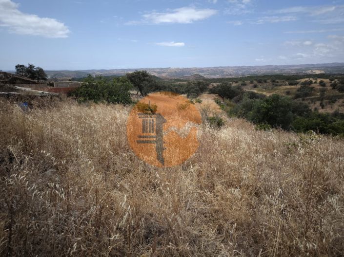 Image No.37-3 Bed House for sale