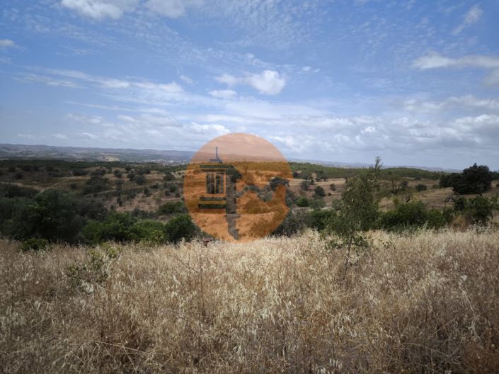 Image No.42-3 Bed House for sale