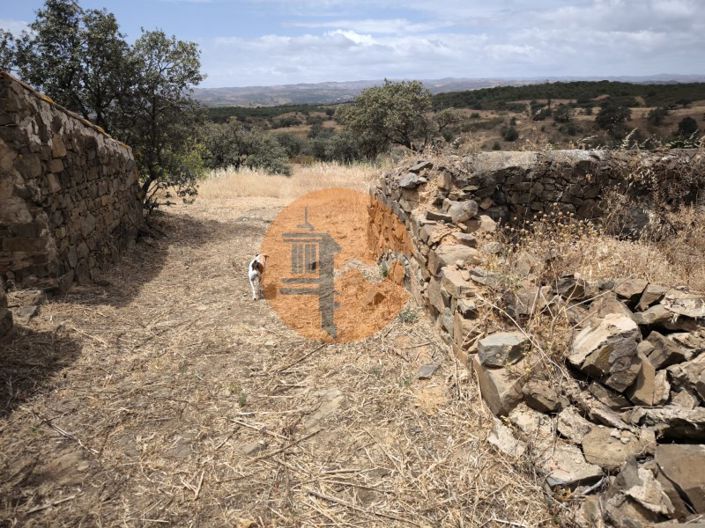 Image No.59-3 Bed House for sale