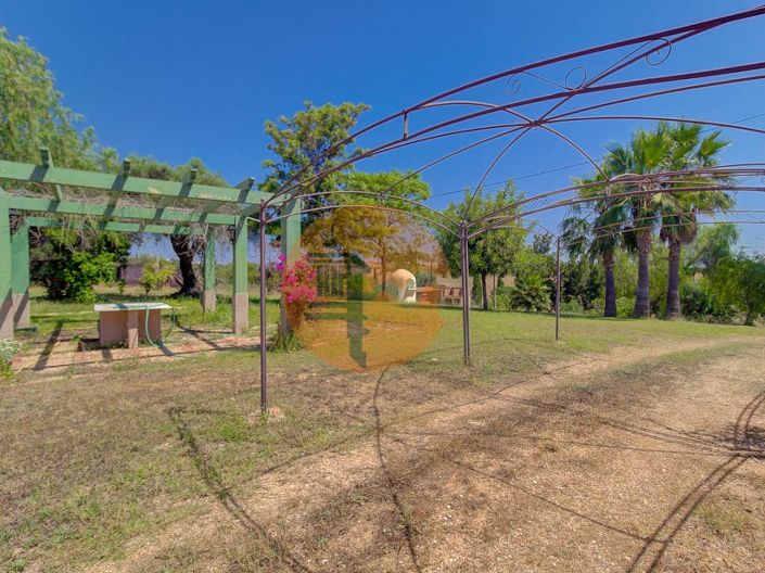 Image No.45-4 Bed House for sale