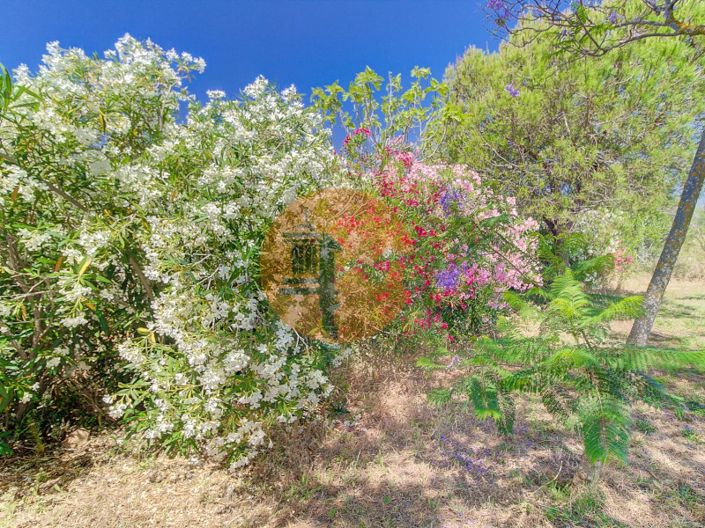 Image No.50-4 Bed House for sale