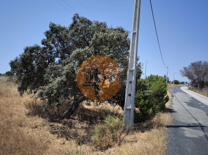 Image No.17-Farmhouse for sale