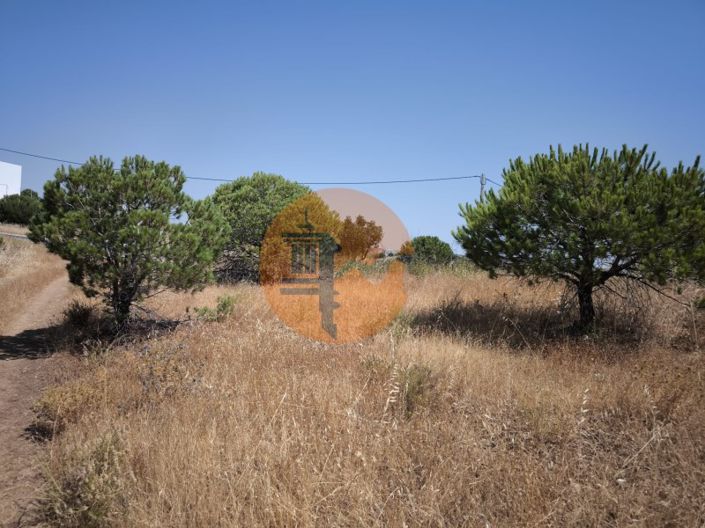 Image No.29-Farmhouse for sale