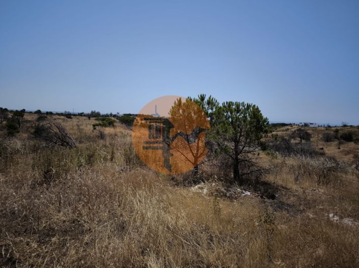 Image No.32-Farmhouse for sale