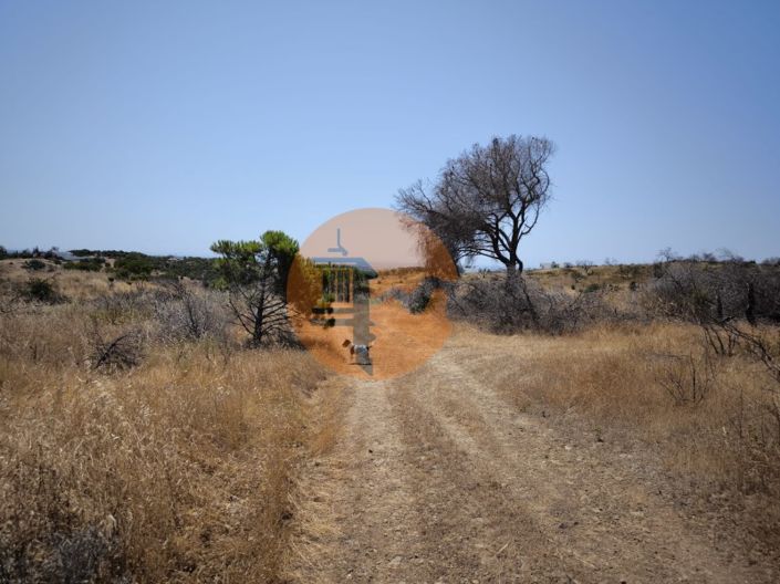 Image No.42-Farmhouse for sale