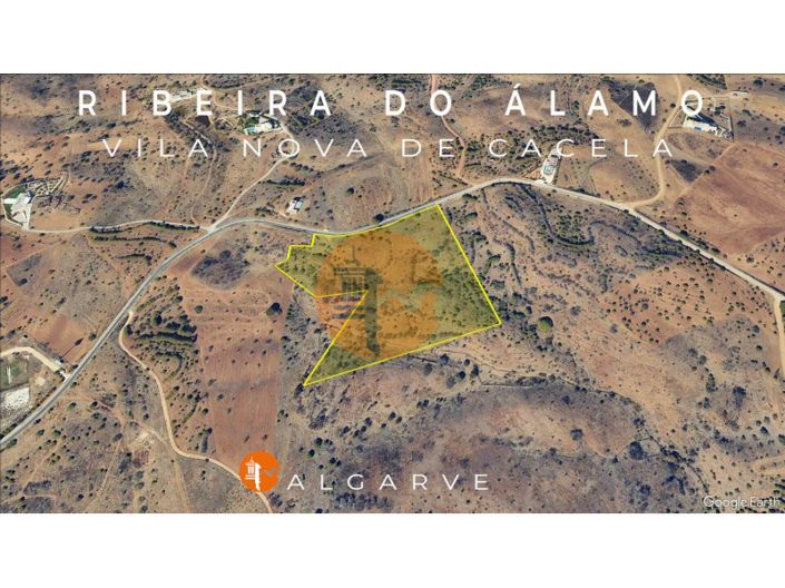 Image No.54-Farmhouse for sale