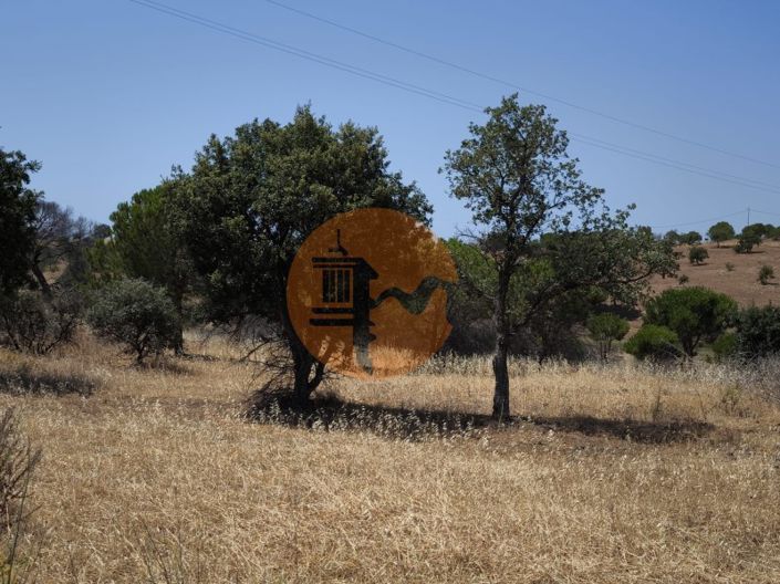 Image No.21-Plot for sale