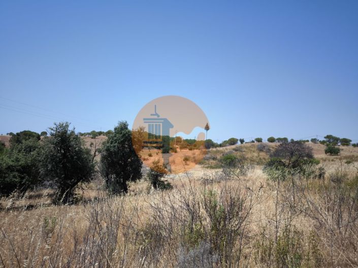 Image No.24-Plot for sale