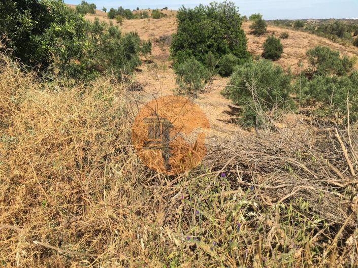 Image No.3-Plot for sale