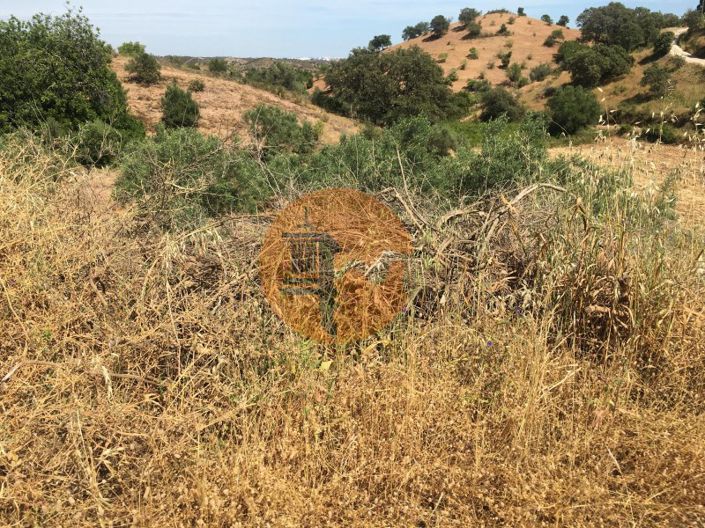 Image No.6-Plot for sale