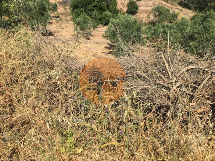 Image No.9-Plot for sale