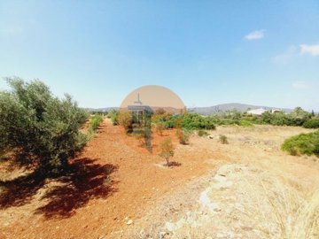 id96047f01-0000-0500-0000-000013622fba