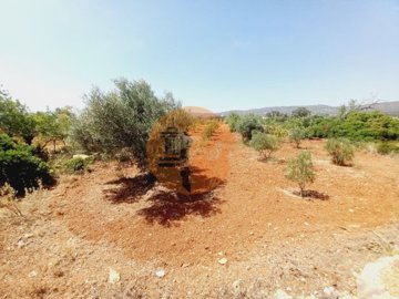 id96047f01-0000-0500-0000-000013622fbe