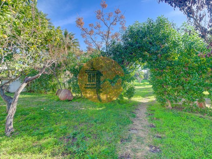 Image No.45-Plot for sale