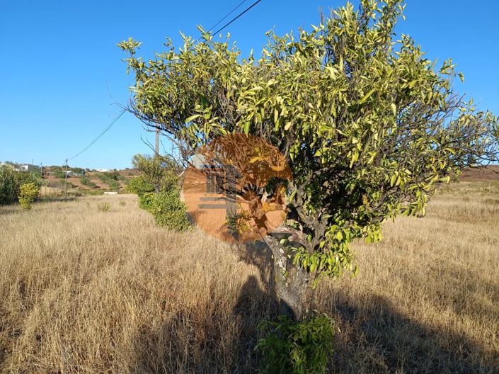 Image No.21-Commercial for sale