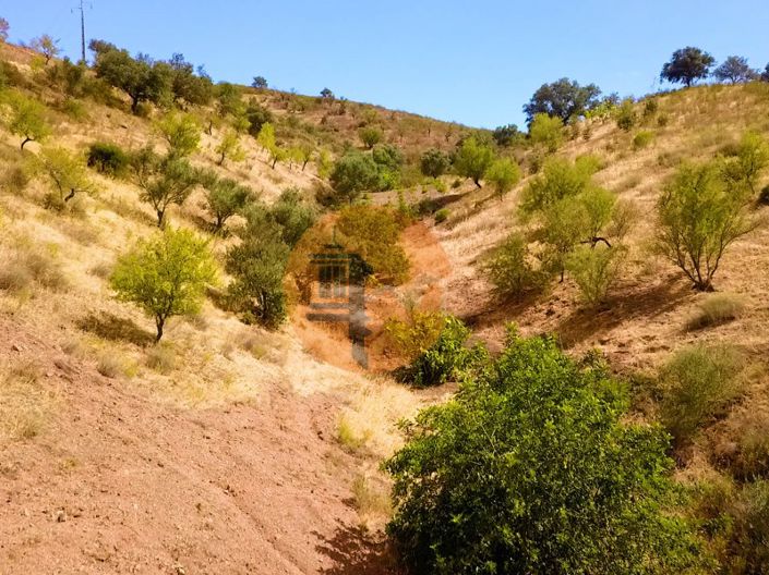 Image No.14-Commercial for sale