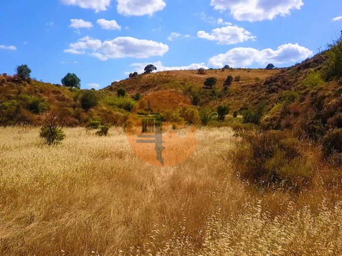 Image No.18-Commercial for sale