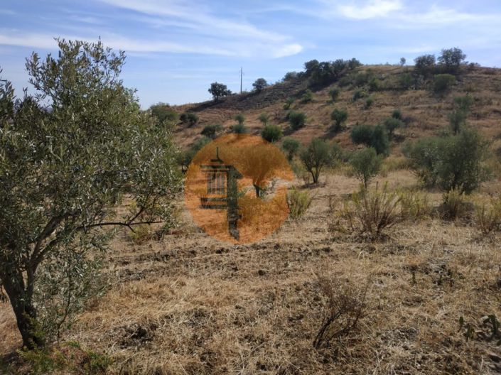 Image No.27-Commercial for sale