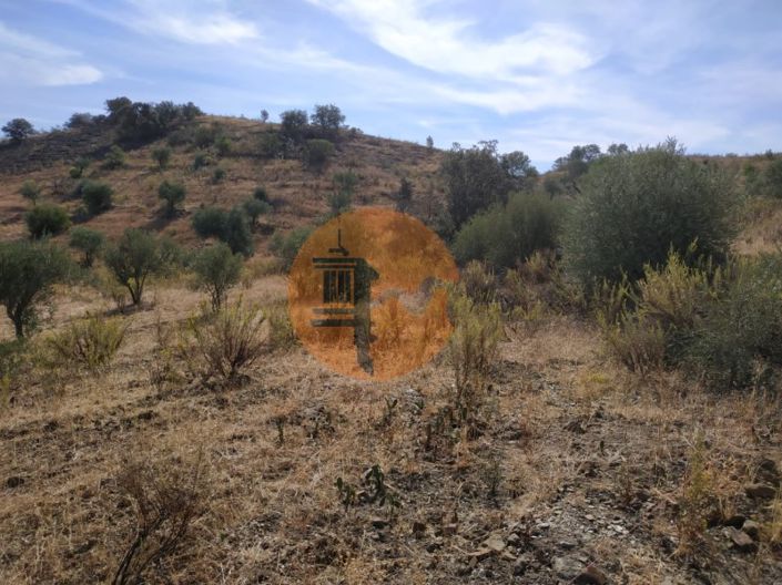 Image No.28-Commercial for sale