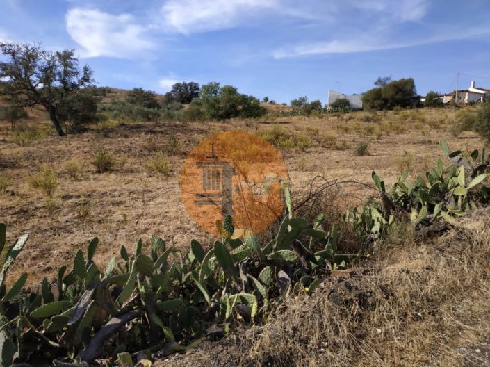 Image No.44-Commercial for sale