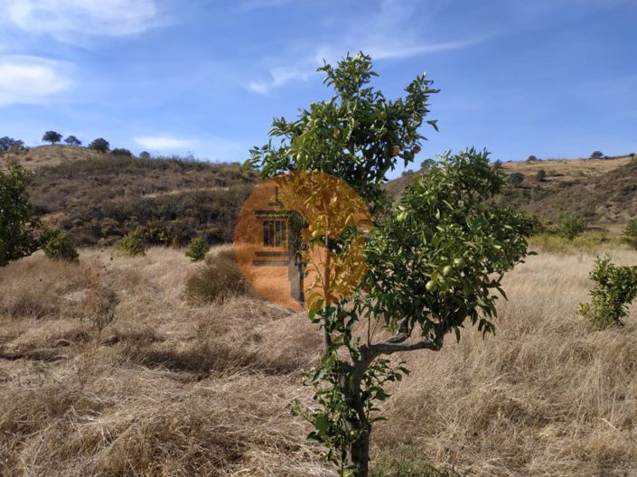 Image No.47-Commercial for sale