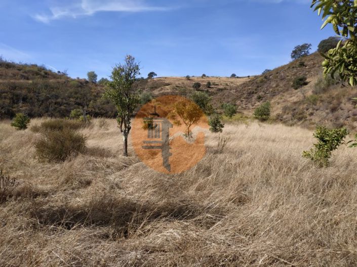 Image No.49-Commercial for sale