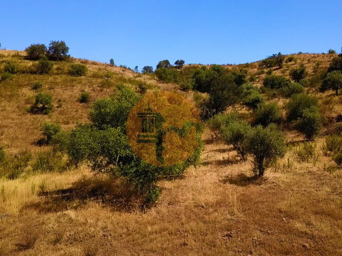 Image No.5-Commercial for sale