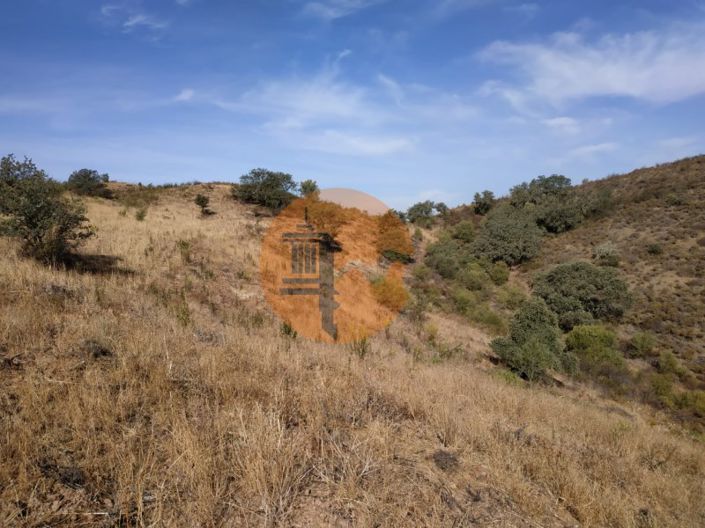 Image No.56-Commercial for sale