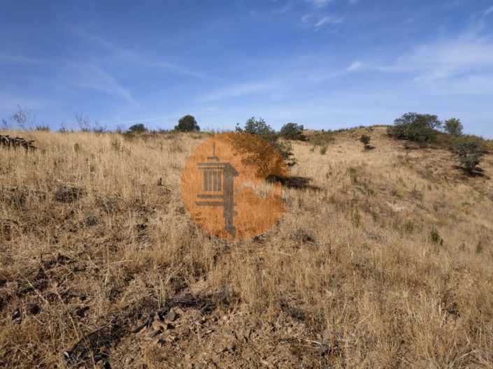 Image No.57-Commercial for sale