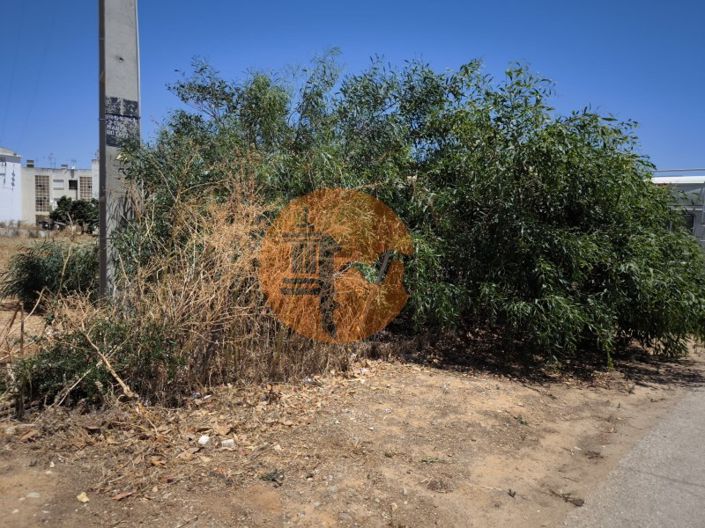 Image No.4-Plot for sale