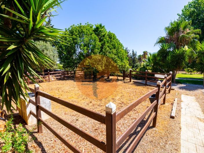 Image No.13-5 Bed House for sale