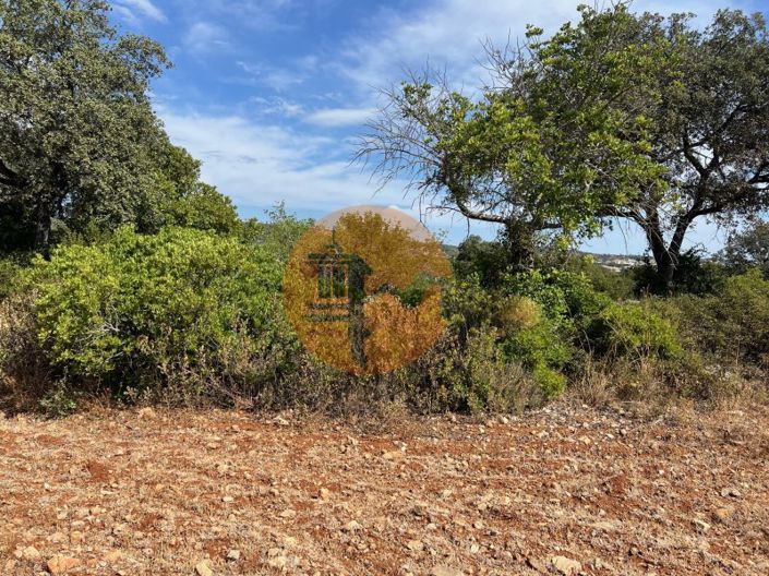 Image No.3-Plot for sale