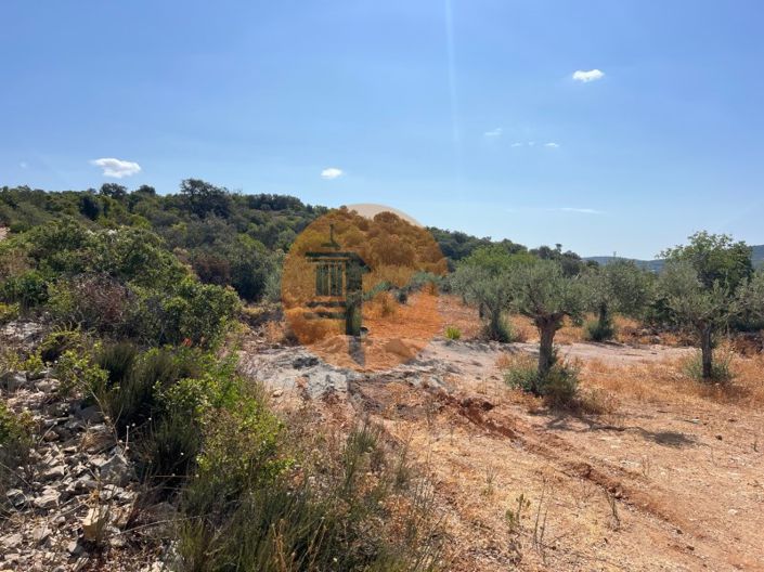 Image No.6-Plot for sale