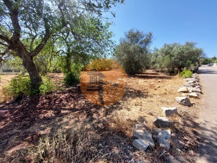 Image No.13-Plot for sale