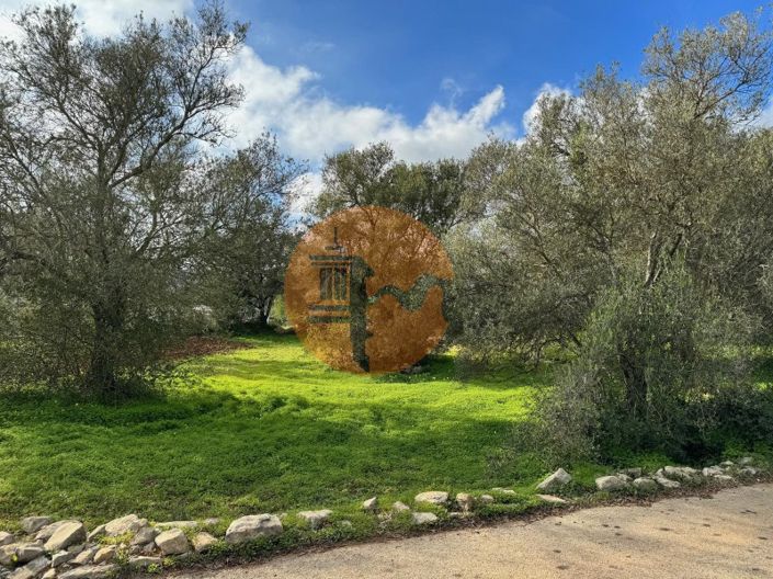 Image No.5-Plot for sale