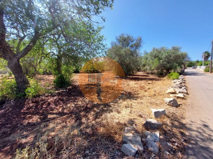 Image No.8-Plot for sale